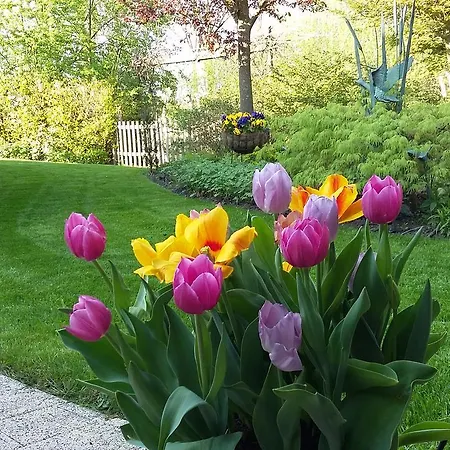 Alojamento de Acomodação e Pequeno-almoço Voorncamp